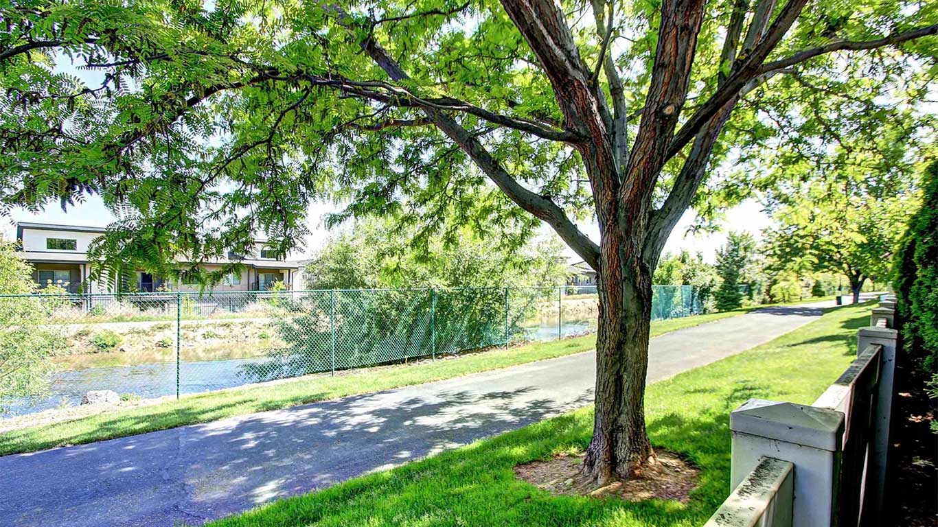 Sutherland Downs Association